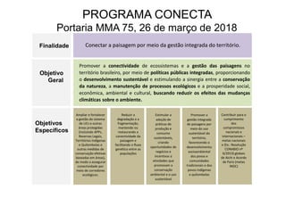 Promover a conectividade de ecossistemas e a gestão das paisagens no
território brasileiro, por meio de políticas públicas integradas, proporcionando
o desenvolvimento sustentável e estimulando a sinergia entre a conservação
da natureza, a manutenção de processos ecológicos e a prosperidade social,
econômica, ambiental e cultural, buscando reduzir os efeitos das mudanças
climáticas sobre o ambiente.
Ampliar e fortalecer
a gestão do sistema
de UCs e outras
áreas protegidas
(incluindo APPs,
Reservas Legais,
Territórios Indígenas
e Quilombolas e
outras medidas de
conservação efetivas
baseadas em áreas),
de modo a assegurar
conectividade por
meio de corredores
ecológicos.
Reduzir a
degradação e a
fragmentação,
mantendo ou
restaurando a
conectividade da
paisagem e
facilitando o fluxo
genético entre as
populações
Estimular a
adoção de
práticas de
produção e
consumo
sustentáveis,
criando
oportunidades de
negócios e
incentivos a
atividades que
promovam a
conservação
ambiental e o uso
sustentável
Promover a
gestão integrada
de paisagens por
meio do uso
sustentável do
território,
favorecendo o
desenvolvimento
socioambiental
dos povos e
comunidades
tradicionais e dos
povos indígenas
e quilombolas
Contribuir para o
cumprimento
dos
compromissos
nacionais e
internacionais –
metas nacionais
e (Ex.: Resolução
CONABIO nº
6/2013) globais
de Aichi e Acordo
de Paris (metas
INDC)
Conectar a paisagem por meio da gestão integrada do território.
Finalidade
Objetivo
Geral
Objetivos
Específicos
PROGRAMA CONECTA
Portaria MMA 75, 26 de março de 2018
 