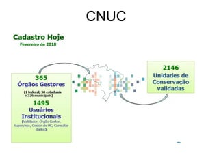 CNUC
 