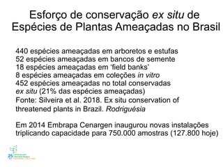 Esforço de conservação ex situ de
Espécies de Plantas Ameaçadas no Brasil
440 espécies ameaçadas em arboretos e estufas
52 espécies ameaçadas em bancos de semente
18 espécies ameaçadas em ‘field banks’
8 espécies ameaçadas em coleções in vitro
452 espécies ameaçadas no total conservadas
ex situ (21% das espécies ameaçadas)
Fonte: Silveira et al. 2018. Ex situ conservation of
threatened plants in Brazil. Rodriguésia
Em 2014 Embrapa Cenargen inaugurou novas instalações
triplicando capacidade para 750.000 amostras (127.800 hoje)
 
