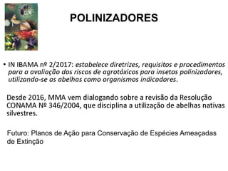 POLINIZADORES
Futuro: Planos de Ação para Conservação de Espécies Ameaçadas
de Extinção
 