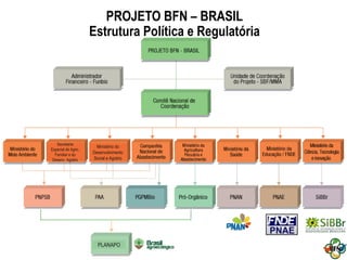 PLANAPO
Ministério do
Desenvolvimento
Social e Agrário
Secretaria
Especial de Agric.
Familiar e do
Desenv. Agrário
PROJETO BFN – BRASIL
Estrutura Política e Regulatória
 
