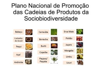 Plano Nacional de Promoção
das Cadeias de Produtos da
Sociobiodiversidade
 