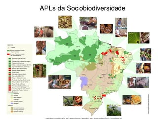 APLs da Sociobiodiversidade
 