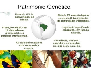 Patrimônio Genético
10% 250
 