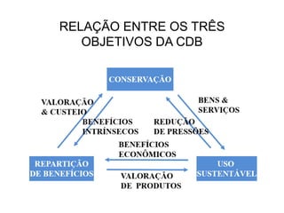 RELAÇÃO ENTRE OS TRÊS
OBJETIVOS DA CDB
 