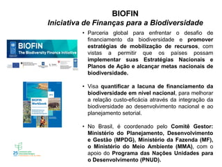 BIOFIN
Iniciativa de Finanças para a Biodiversidade
• Parceria global para enfrentar o desafio de
financiamento da biodiversidade e promover
estratégias de mobilização de recursos, com
vistas a permitir que os países possam
implementar suas Estratégias Nacionais e
Planos de Ação e alcançar metas nacionais de
biodiversidade.
• Visa quantificar a lacuna de financiamento da
biodiversidade em nível nacional, para melhorar
a relação custo-eficácia através da integração da
biodiversidade ao desenvolvimento nacional e ao
planejamento setorial.
• No Brasil, é coordenado pelo Comitê Gestor:
Ministério do Planejamento, Desenvolvimento
e Gestão (MPDG), Ministério da Fazenda (MF),
o Ministério do Meio Ambiente (MMA), com o
apoio do Programa das Nações Unidades para
o Desenvolvimento (PNUD).
 