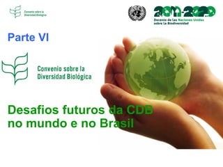 Desafios futuros da CDB
no mundo e no Brasil
Parte VI
 