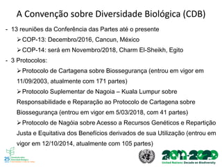 - 13 reuniões da Conferência das Partes até o presente
➢COP-13: Decembro/2016, Cancun, México
➢COP-14: será em Novembro/2018, Charm El-Sheikh, Egito
- 3 Protocolos:
➢Protocolo de Cartagena sobre Biossegurança (entrou em vigor em
11/09/2003, atualmente com 171 partes)
➢Protocolo Suplementar de Nagoia – Kuala Lumpur sobre
Responsabilidade e Reparação ao Protocolo de Cartagena sobre
Biossegurança (entrou em vigor em 5/03/2018, com 41 partes)
➢Protocolo de Nagóia sobre Acesso a Recursos Genéticos e Repartição
Justa e Equitativa dos Benefícios derivados de sua Utilização (entrou em
vigor em 12/10/2014, atualmente com 105 partes)
A Convenção sobre Diversidade Biológica (CDB)
 
