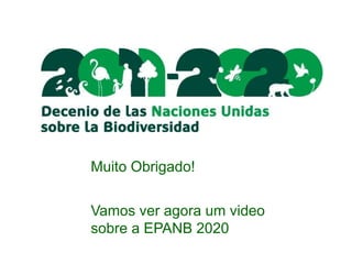 Muito Obrigado!
Vamos ver agora um video
sobre a EPANB 2020
 