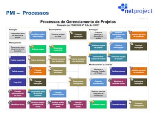 PMI – Processos
 