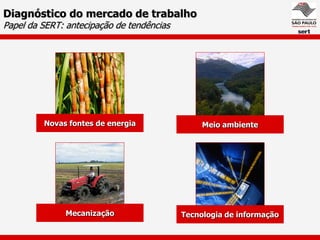 Diagnóstico do mercado de trabalho
Papel da SERT: antecipação de tendências




         Novas fontes de energia                Meio ambiente




               Mecanização                 Tecnologia de informação
 