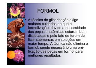 FORMOL
• A técnica de glicerinação exige
maiores cuidados do que a
formolização, devido a necessidade
das peças anatômicas estarem bem
dissecadas e pelo fato de terem de
ficar submersas em soluções em
maior tempo. A técnica não elimina o
formol, sendo necessário uma pré-
fixação das peças em formol para
melhores resultados
 