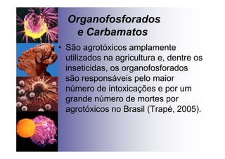 Organofosforados
e Carbamatos
• São agrotóxicos amplamente
utilizados na agricultura e, dentre os
inseticidas, os organofosforados
são responsáveis pelo maior
número de intoxicações e por um
grande número de mortes por
agrotóxicos no Brasil (Trapé, 2005).
 