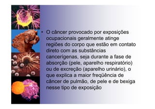 • O câncer provocado por exposições
ocupacionais geralmente atinge
regiões do corpo que estão em contato
direto com as substâncias
cancerígenas, seja durante a fase de
absorção (pele, aparelho respiratório)
ou de excreção (aparelho urinário), o
que explica a maior freqüência de
câncer de pulmão, de pele e de bexiga
nesse tipo de exposição
 