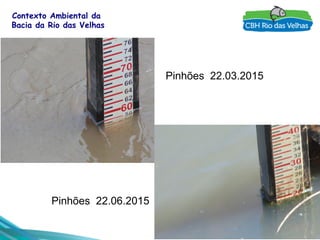 10
Contexto Ambiental da
Bacia da Rio das Velhas
Pinhões 22.03.2015
Pinhões 22.06.2015
 
