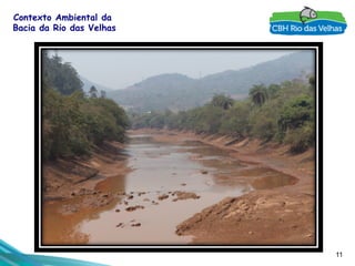 11
Contexto Ambiental da
Bacia da Rio das Velhas
 