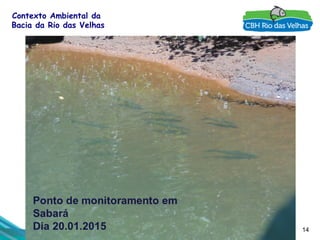 14
Contexto Ambiental da
Bacia da Rio das Velhas
 