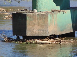 7
Contexto Ambiental da
Bacia da Rio das Velhas
 