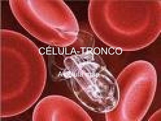 CÉLULA-TRONCO A célula mãe  