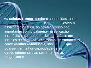 As  células-tronco , também conhecidas  como  ossos ,  nervos ,  músculos  e  sangue . Devido a essa característica, as células-tronco são importantes, principalmente na aplicação terapêutica, sendo potencialmente úteis em terapias de como  células-mãe  ou, erradamente, como  células estaminais , são  células  que possuem a melhor capacidade de se  dividir  dando origem células semelhantes às progenitoras. 