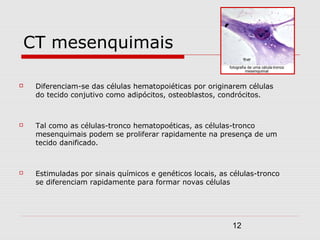 CT mesenquimais

   Diferenciam-se das células hematopoiéticas por originarem células
    do tecido conjutivo como adipócitos, osteoblastos, condrócitos.



   Tal como as células-tronco hematopoéticas, as células-tronco
    mesenquimais podem se proliferar rapidamente na presença de um
    tecido danificado.



   Estimuladas por sinais químicos e genéticos locais, as células-tronco
    se diferenciam rapidamente para formar novas células




                                                           12
 