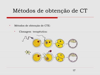 Métodos de obtenção de CT

   Métodos de obtenção de CTE:

       Clonagem terapêutica:




                                  17
 