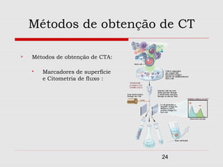 Métodos de obtenção de CT

   Métodos de obtenção de CTA:

       Marcadores de superfície
        e Citometria de fluxo :




                                   24
 