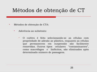 Métodos de obtenção de CT

   Métodos de obtenção de CTA:

       Aderência ao substrato:

           O cultivo é feito selecionando-se as células com
            propriedade de adesão ao plástico, enquanto as células
            que permanecem em suspensão são facilmente
            removidas. Outros tipos celulares “contaminantes”,
            como macrófagos e linfócitos, são eliminados após
            determinado número de passagens.




                                                   25
 