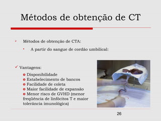 Métodos de obtenção de CT

   Métodos de obtenção de CTA:
       A partir do sangue de cordão umbilical:



 Vantagens:
    o Disponibilidade
    o Estabelecimento de bancos
    o Facilidade de coleta
    o Maior facilidade de expansão
    o Menor risco de GVHD (menor
    freqüência de linfócitos T e maior
    tolerância imunológica)

                                                  26
 
