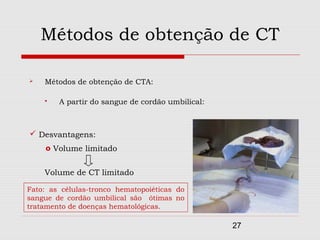 Métodos de obtenção de CT

   Métodos de obtenção de CTA:

       A partir do sangue de cordão umbilical:



 Desvantagens:
    o Volume limitado


    Volume de CT limitado

Fato: as células-tronco hematopoiéticas do
sangue de cordão umbilical são ótimas no
tratamento de doenças hematológicas.

                                                  27
 