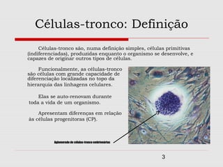 Células-tronco: Definição
     Células-tronco são, numa definição simples, células primitivas
(indiferenciadas), produzidas enquanto o organismo se desenvolve, e
capazes de originar outros tipos de células.

     Funcionalmente, as células-tronco
são células com grande capacidade de
diferenciação localizadas no topo da
hierarquia das linhagens celulares.

    Elas se auto-renovam durante
toda a vida de um organismo.

    Apresentam diferenças em relação
às células progenitoras (CP).



          Aglomerado de células-tronco embrionárias



                                                      3
 