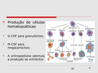    Produção de células
    hematopoéticas

   G-CSF para granulócitos;

   M-CSF para
    megacariócitos;

   A eritropoetiona estimula
    a produção de eritrócitos

                                     34
                                34
 