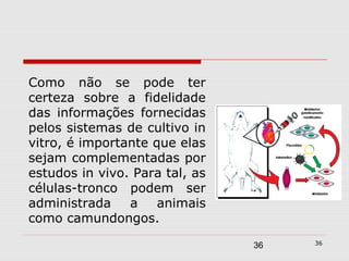 Como não se pode ter
certeza sobre a fidelidade
das informações fornecidas
pelos sistemas de cultivo in
vitro, é importante que elas
sejam complementadas por
estudos in vivo. Para tal, as
células-tronco podem ser
administrada    a    animais
como camundongos.
                                     36
                                36
 