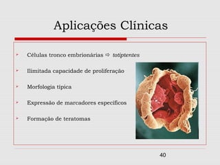 Aplicações Clínicas

   Células tronco embrionárias  totiptentes

   Ilimitada capacidade de proliferação

   Morfologia típica

   Expressão de marcadores específicos

   Formação de teratomas




                                                40
 