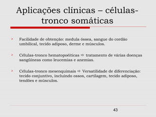 Aplicações clínicas – células-
          tronco somáticas
   Facilidade de obtenção: medula óssea, sangue do cordão
    umbilical, tecido adiposo, derme e músculos.

   Células-tronco hematopoéiticas  tratamento de várias doenças
    sangüíneas como leucemias e anemias.

   Células-tronco mesenquimais  Versatilidade de diferenciação:
    tecido conjuntivo, incluindo ossos, cartilagem, tecido adiposo,
    tendões e músculos.




                                                    43
 