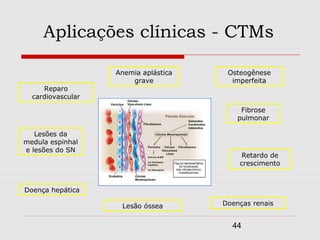 Aplicações clínicas - CTMs

                   Anemia aplástica    Osteogênese
                       grave            imperfeita
     Reparo
  cardiovascular

                                           Fibrose
                                          pulmonar

   Lesões da
medula espinhal
e lesões do SN
                                           Retardo de
                                          crescimento



Doença hepática

                    Lesão óssea       Doenças renais


                                        44
 
