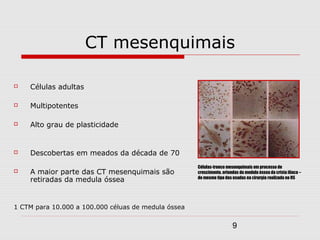 CT mesenquimais

   Células adultas

   Multipotentes

   Alto grau de plasticidade


   Descobertas em meados da década de 70
                                                     Células-tronco mesenquimais em processo de
   A maior parte das CT mesenquimais são            crescimento, oriundas da medula óssea da crista ilíaca –
    retiradas da medula óssea                        do mesmo tipo das usadas na cirurgia realizada no RS




1 CTM para 10.000 a 100.000 céluas de medula óssea


                                                                       9
 