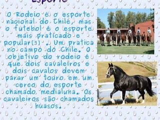 Esporte O Rodeio é o esporte nacional do Chile, mas o futebol é o esporte mais praticado e popular[1] . Um pratica no campo do Chile. O objetivo do rodeio é que dois cavaleiros e dois cavalos devem parar um touro em um cerco do esporte chamado medialuna. Os cavaleiros são chamados huasos. 