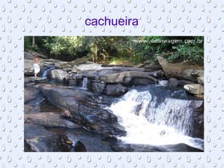 cachueira f 