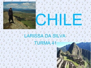 LARISSA DA SILVA  TURMA 41 CHILE 