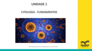 UNIDADE 1
CITOLOGIA - FUNDAMENTOS
FONTE: https://www.resumoescolar.com.br/biologia/citologia-o-que-e-e-estudo-das-celulas/
 