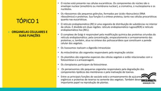 TÓPICO 1
• O núcleo está presente nas células eucarióticas. Os componentes do núcleo são o
envelope nuclear (envoltório ou membrana nuclear), a cromatina, o nucleoplasma e os
nucléolos.
• Os ribossomos são pequenos grânulos, formados por ácido ribonucleico (RNA
ribossômico) e proteínas. Sua função é a síntese proteica, tanto nas células procarióticas
quanto nas eucarióticas.
• O retículo endoplasmático (RE) é uma organela de distribuição de substâncias no interior
da célula. É dividido em duas regiões: retículo endoplasmático rugoso(RER) e retículo
endoplasmático liso (REL).
• O complexo de Golgi é responsável pela modificação química das proteínas oriundas do
retículo endoplasmático; pela concentração, empacotamento e armazenamento das
proteínas; e, também, atua na síntese dos polissacarídeos que constituem a parede
celular dos vegetais.
• Os lisossomos realizam a digestão intracelular.
• As mitocôndrias são organelas responsáveis pela respiração celular.
• Os plastídios são organelas especiais das células vegetais e estão relacionadas com a
fotossíntese e a armazenagem.
• Os cloroplastos participam da fotossíntese.
• Os peroxissomos são pequenas organelas responsáveis pela degradação dos
componentes lipídicos das membranas e pela inativação de toxinas.
• Entre as principais funções do vacúolo está o armazenamento de açúcares, ácidos
orgânicos e proteínas de reserva na semente dos vegetais. Também desempenham um
importante papel na reprodução de plantas.
» ORGANELAS CELULARES E
SUAS FUNÇÕES
 