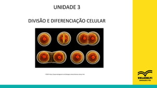 UNIDADE 3
DIVISÃO E DIFERENCIAÇÃO CELULAR
FONTE:https://www.biologianet.com/biologia-celular/divisao-celular.htm
 