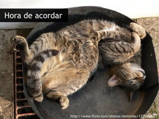 Hora de acordar http://www.flickr.com/photos/dominiqs/137546402/ 