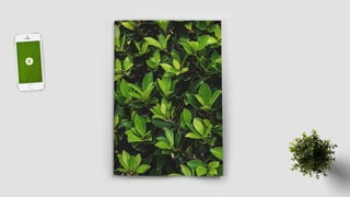 Folder Institucional Ekôa