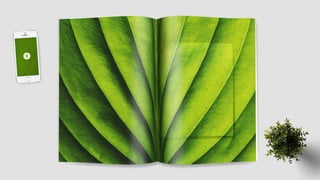 Folder Institucional Ekôa