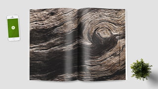 Folder Institucional Ekôa