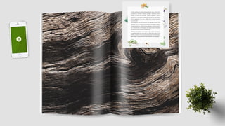 Folder Institucional Ekôa