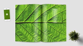 Folder Institucional Ekôa