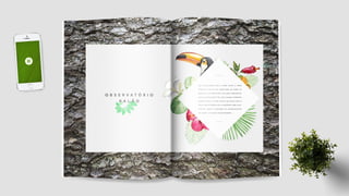 Folder Institucional Ekôa